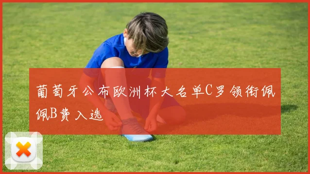 葡萄牙公布欧洲杯大名单C罗领衔佩佩B费入选